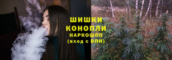 тгк Семикаракорск